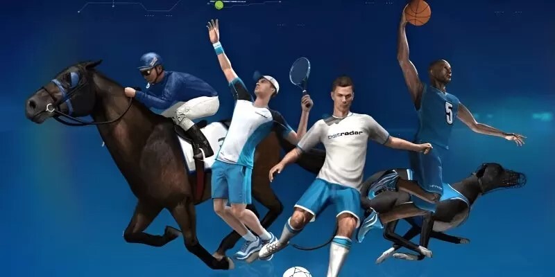 Giao diện cá cược tại New88 vô cùng ấn tượng